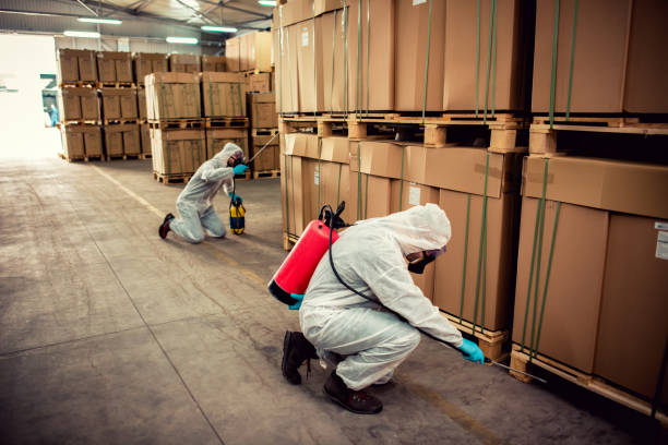 Best Pest Inspection Near Me  in Irwin, PA