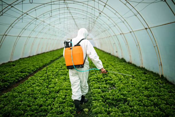 Best Ant Control Services  in Irwin, PA