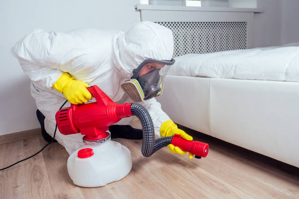 Professional Pest Control in Irwin, PA