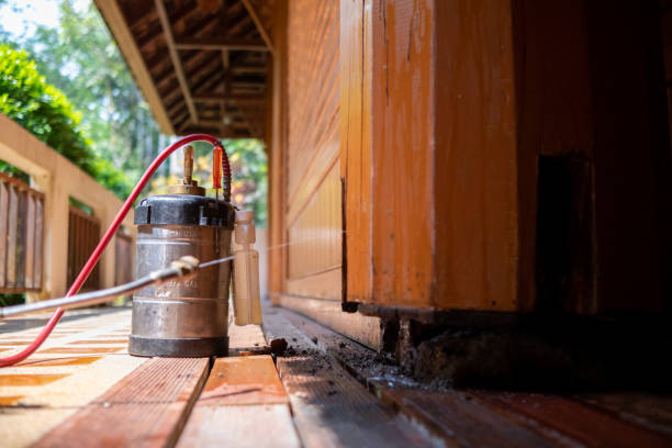 Best Affordable Pest Control Services  in Irwin, PA