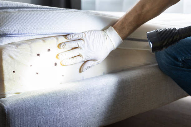 Best Best Pest Control Companies  in Irwin, PA
