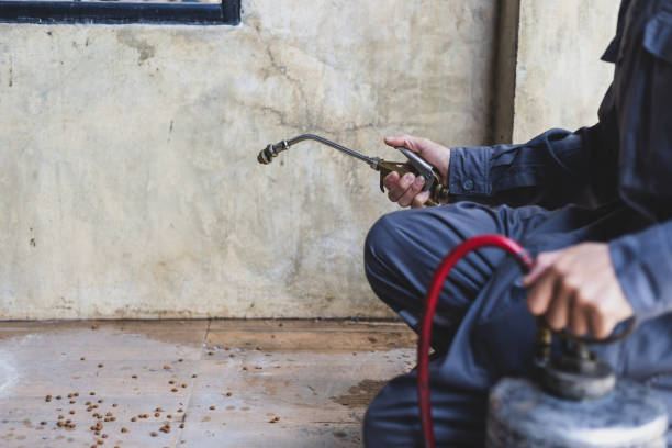 Best Pest Prevention Services  in Irwin, PA