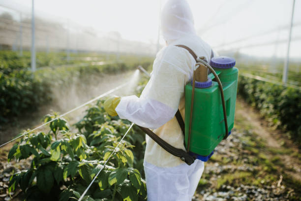 Best Exterminator Services  in Irwin, PA